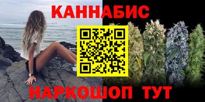 мдпв Обь