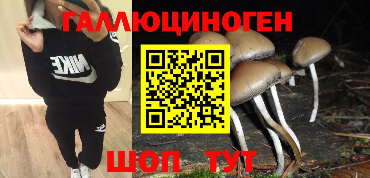 Галлюциногенные грибы Psilocybine cubensis Сарапул