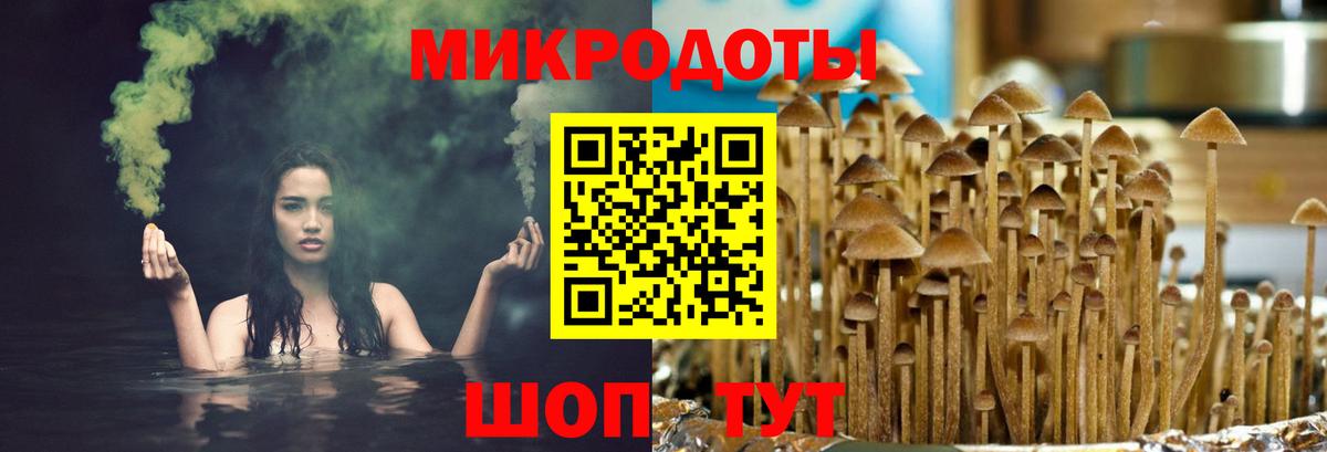 Сарапул  Галлюциногенные грибы Cubensis  Вход с VPN 
