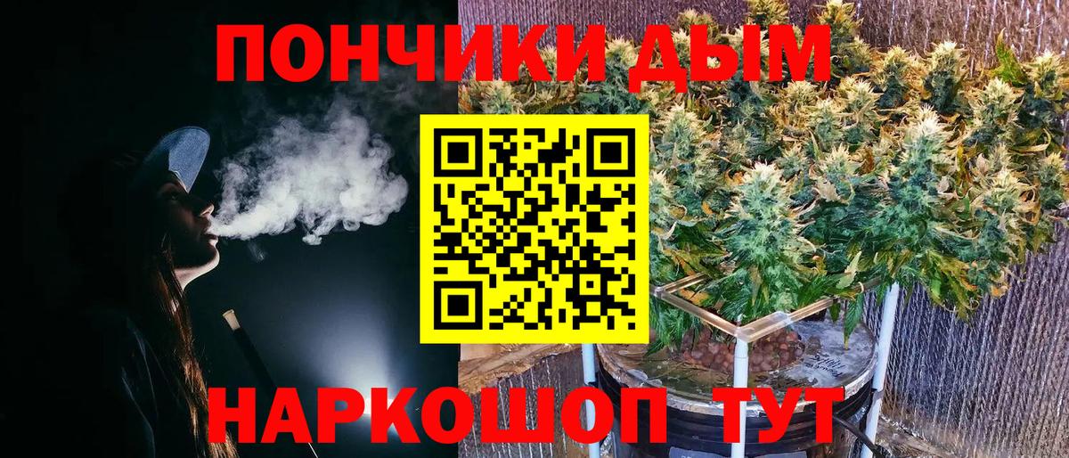Шишки марихуана план  Вход с VPN  Сарапул  Каннабис марихуана 